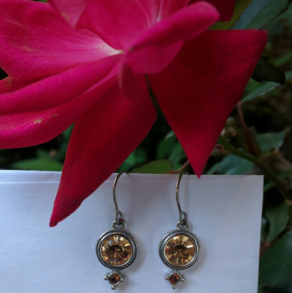 Silver and amber colored earrings