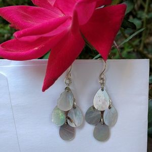 Silver abalone earrings