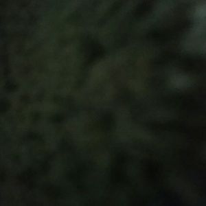 Meet your Posher, Pat