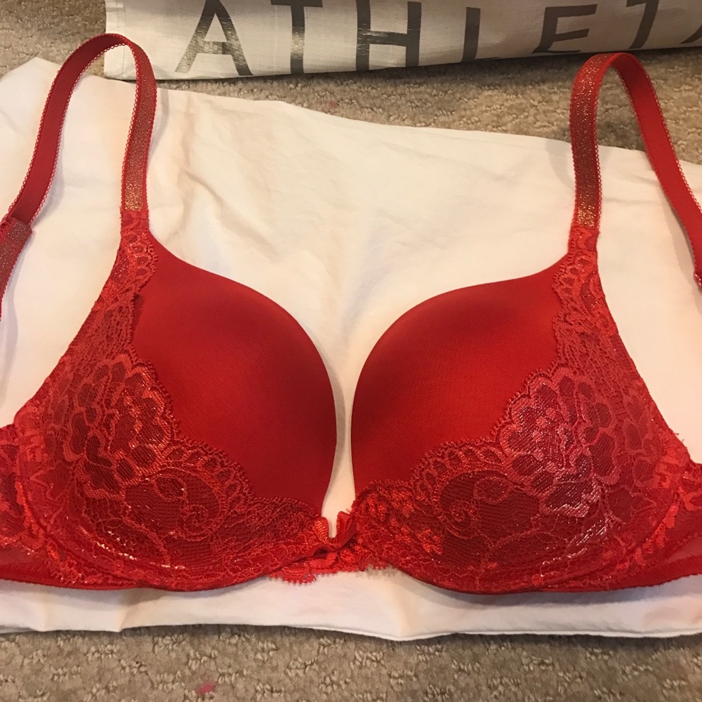 Dream angel plunge bra.