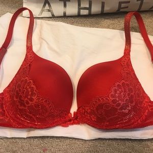 Dream angel plunge bra.