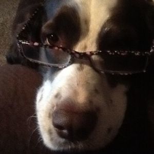 Meet your Posher, Vicky