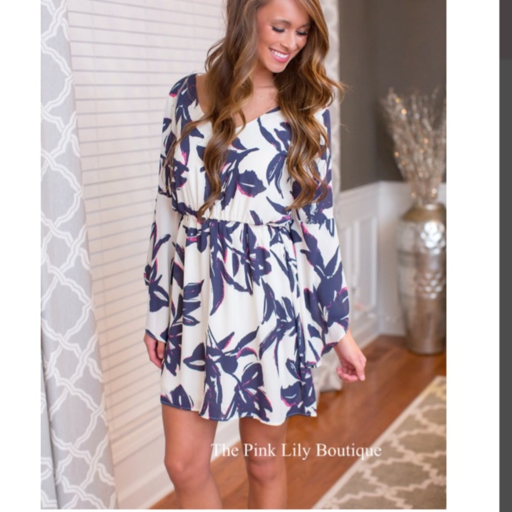 Beautiful dress from the pink lily boutique