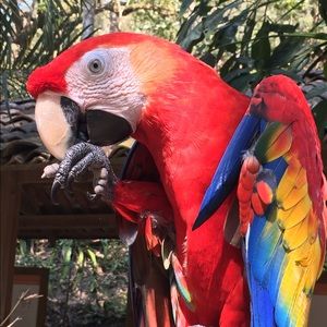 Meet your Posher, Alicia