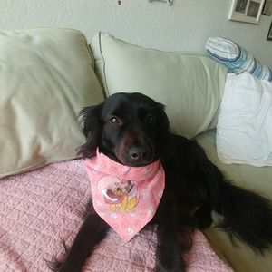 Meet your Posher, Pearl