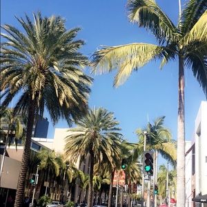 Meet your Posher, Amina