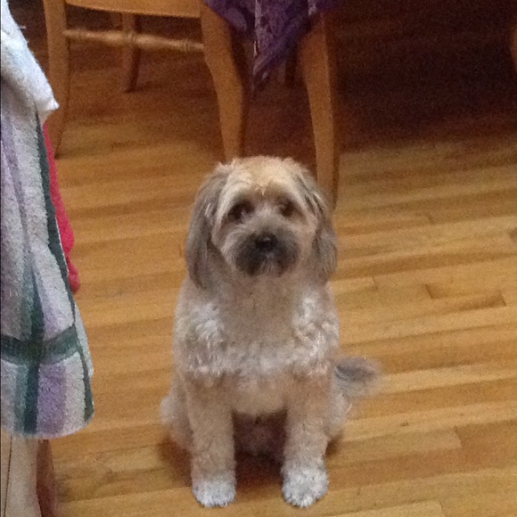 Meet your Posher, Dominique - Picture 1 of 1