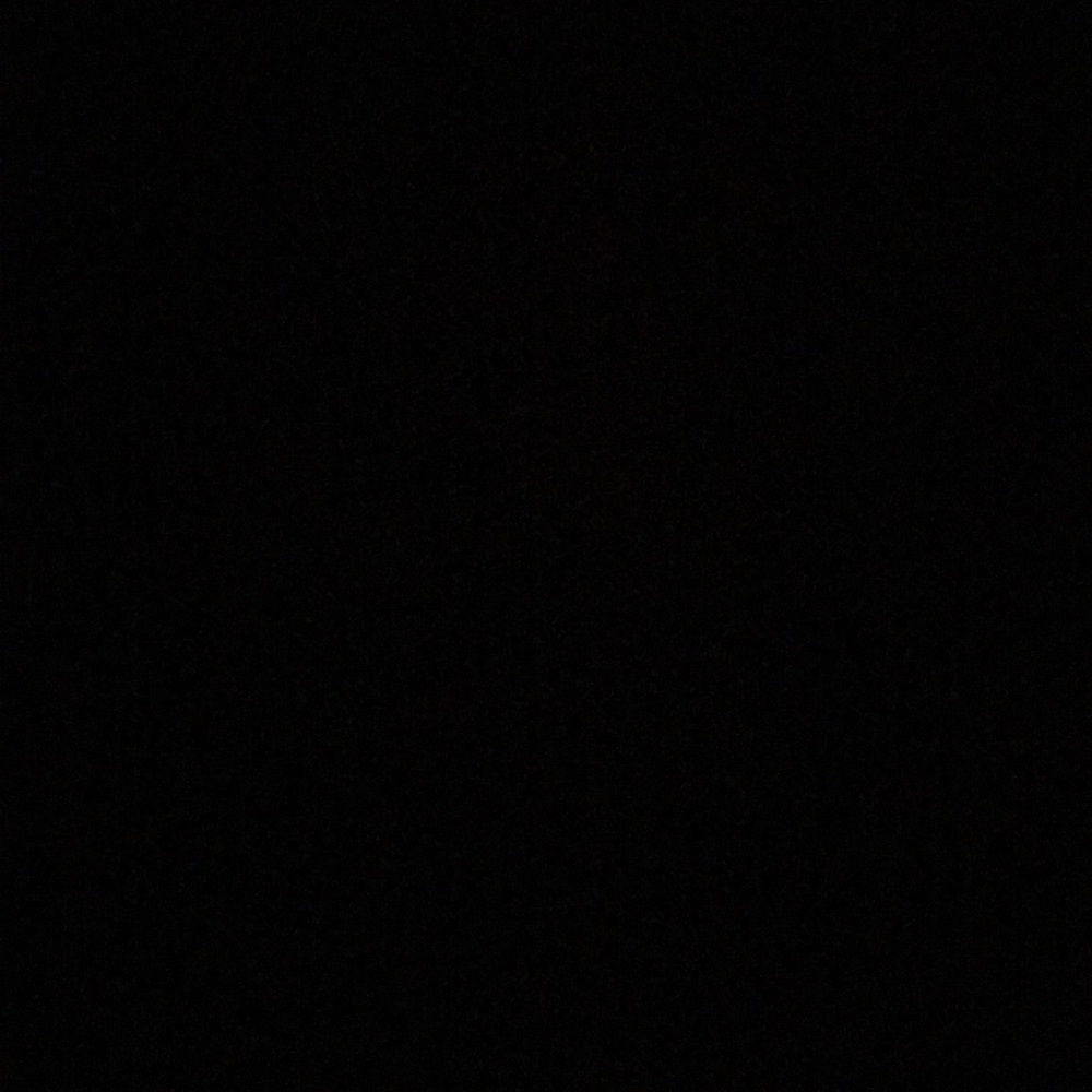 Meet your Posher, Isabella