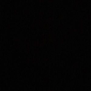 Meet your Posher, Isabella