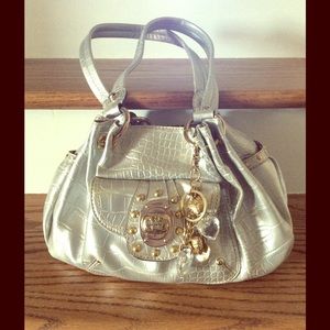 Silver Kathy Van Zeeland Bag