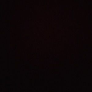 Meet your Posher, Willson