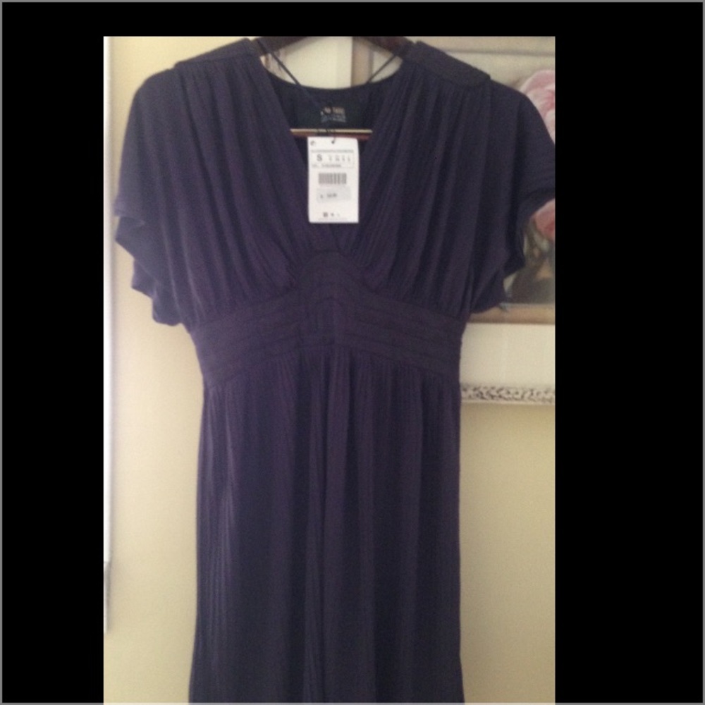 Zara dress