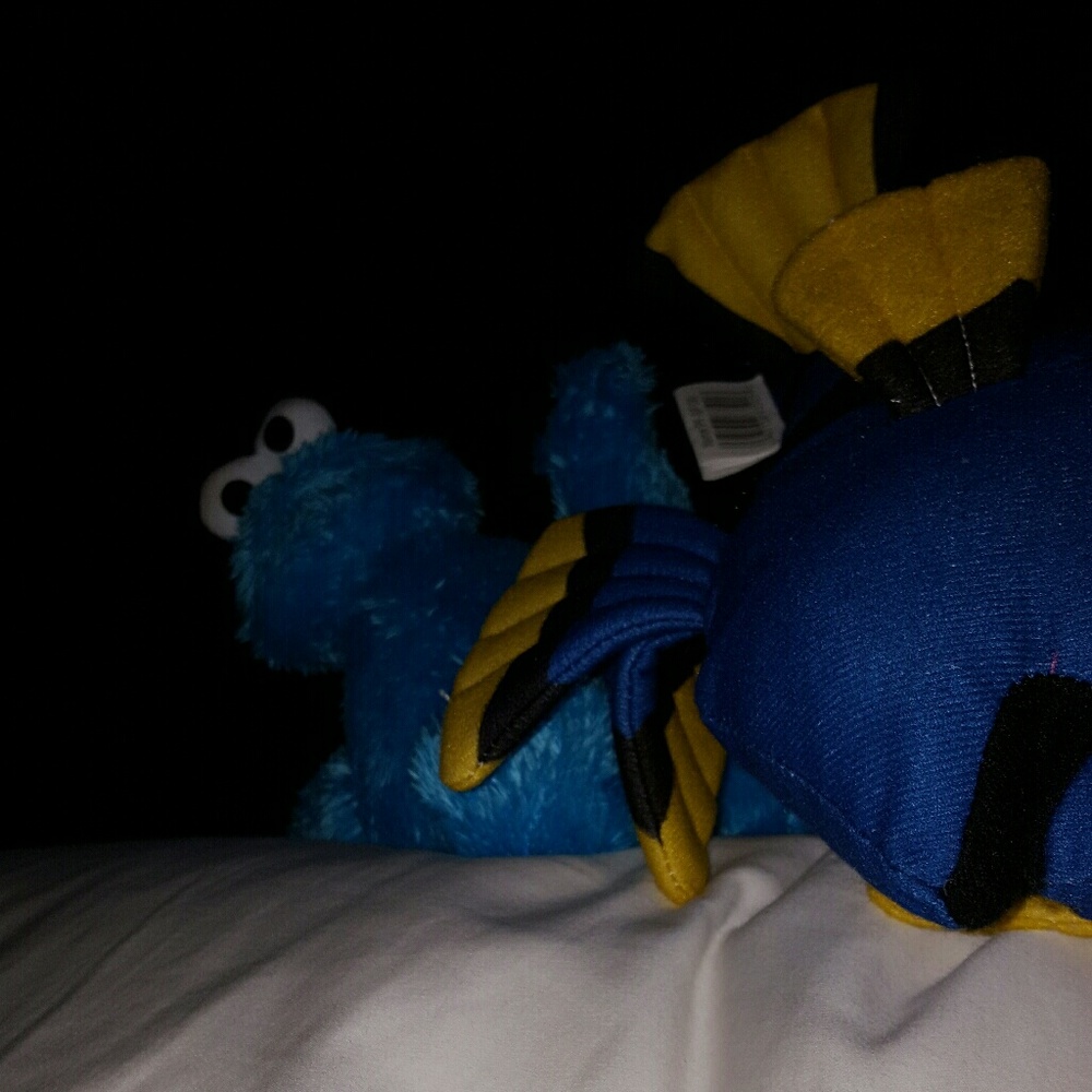 Meet your Posher, Sylvia