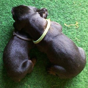 Meet your Posher, Veronica