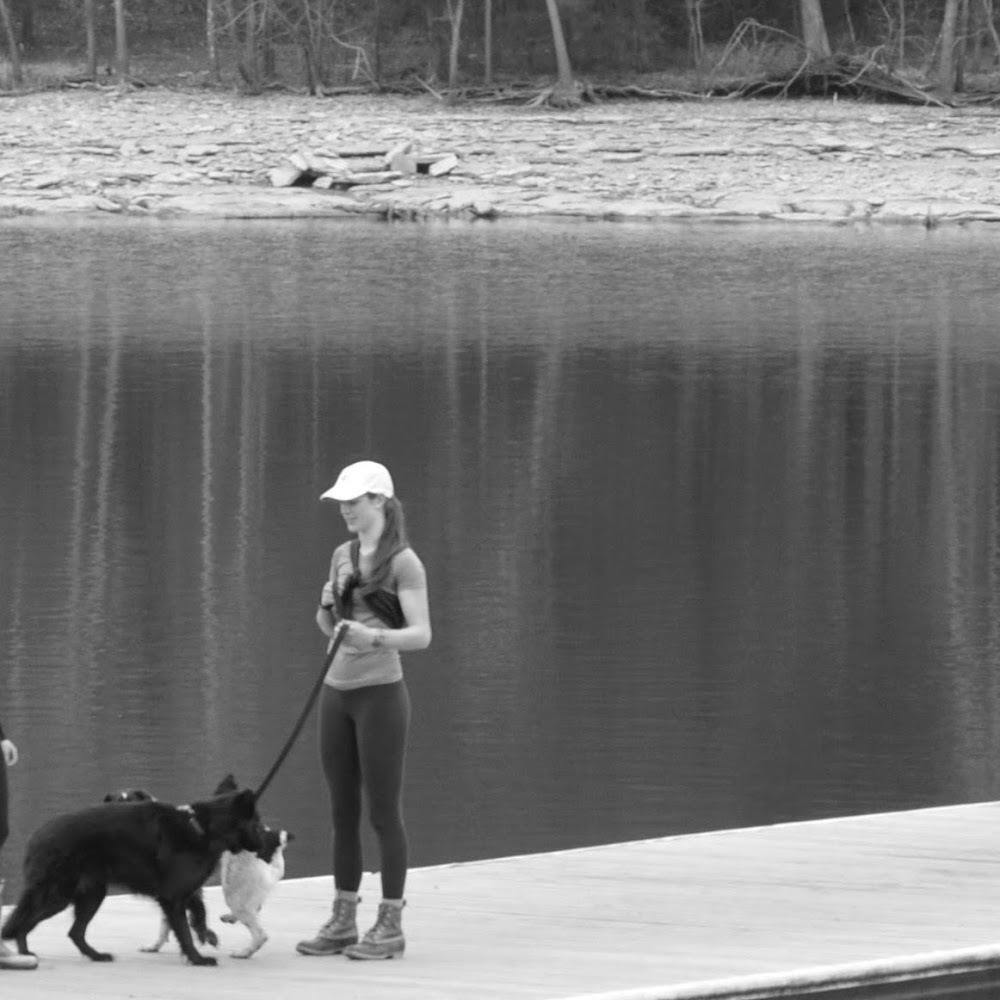 Meet your Posher, Anne