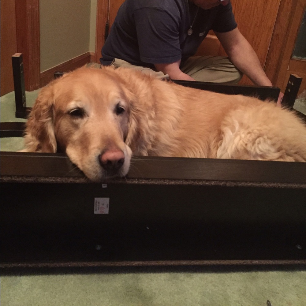 Meet your Posher, Lori