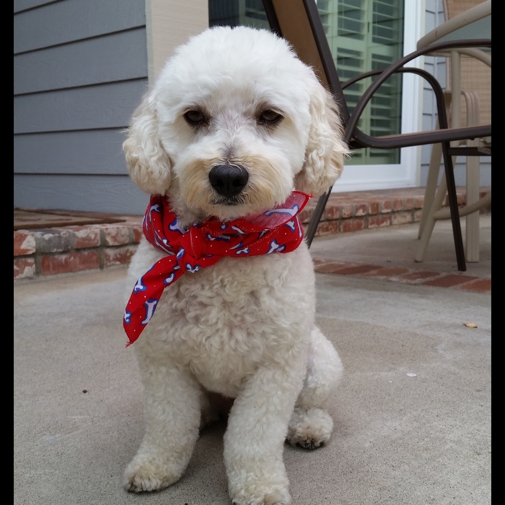 Have a stylish day 😃