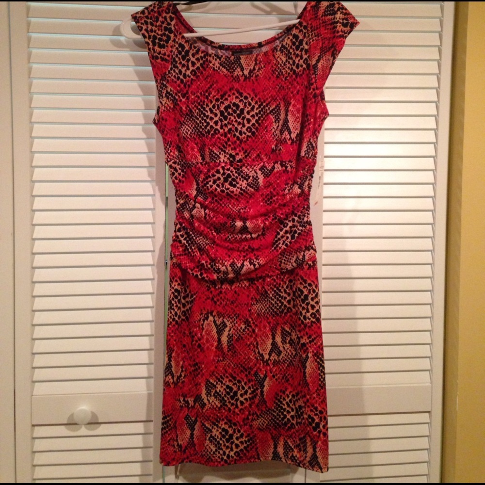 NWT- Dress-size 6 fitted