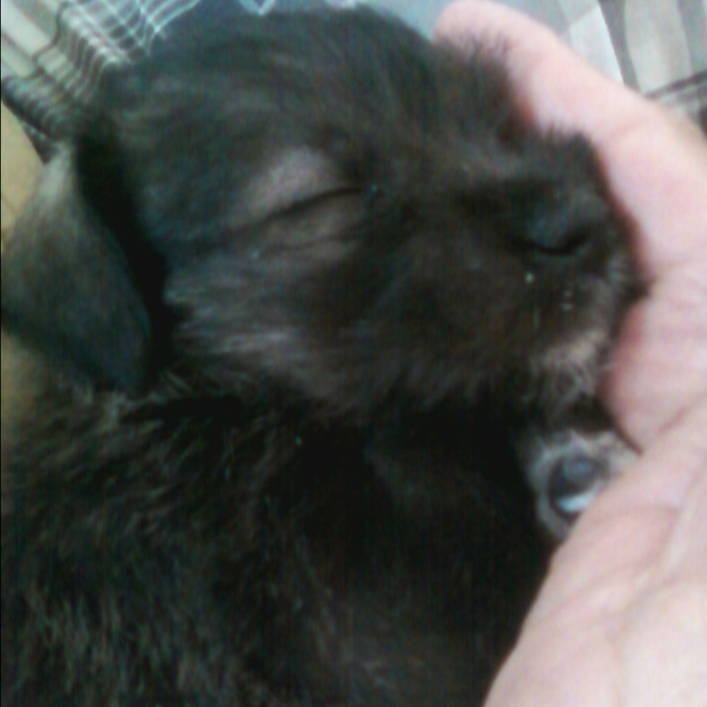 Meet your Posher, Jurie