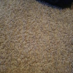 Meet your Posher, Violeta