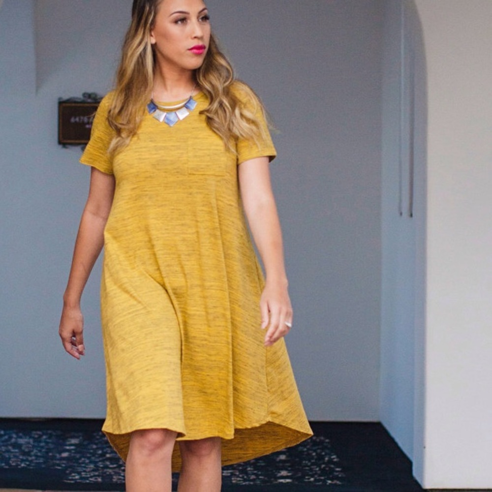 Lularoe "Carly" dress