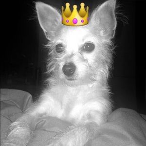 Meet your Posher, Larissa