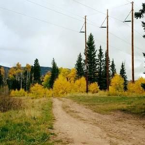 Meet your Posher, Yoni