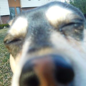 Meet your Posher, Samantha