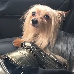 Meet your Posher, Vonda