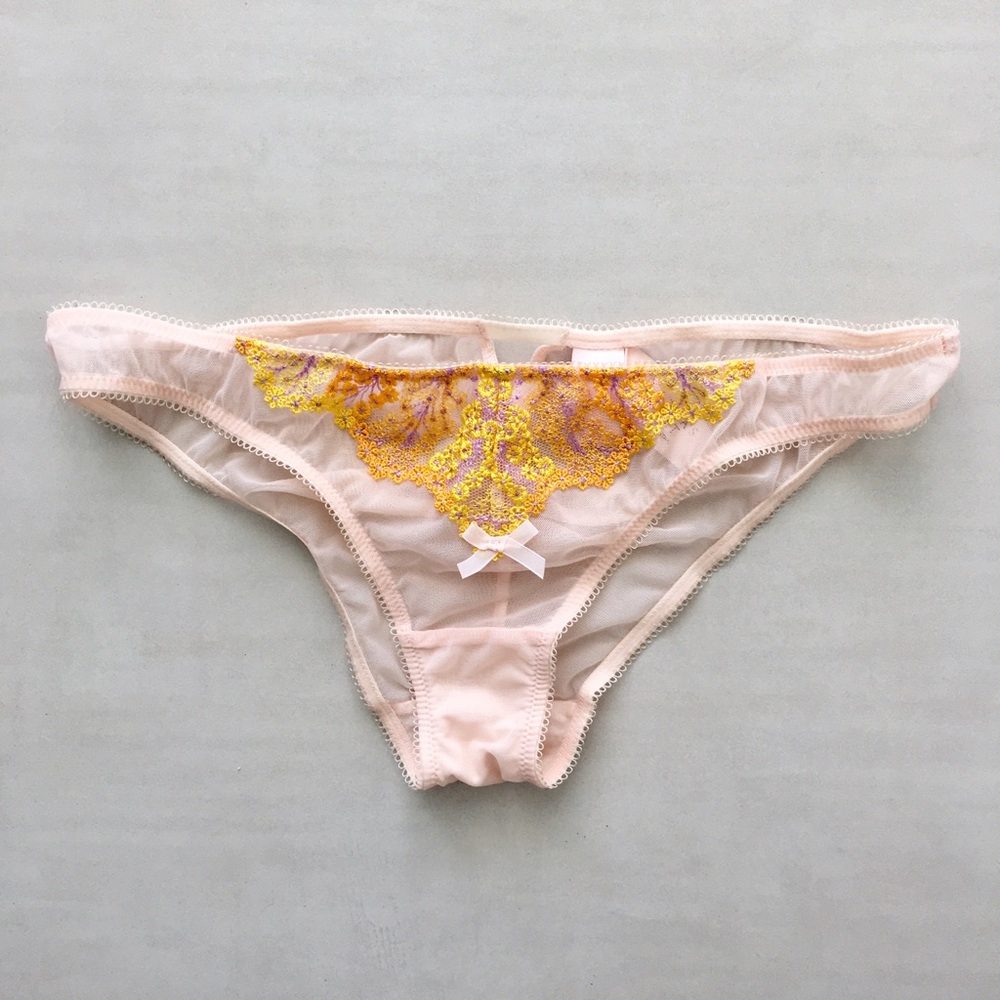 VICTORIA’S SECRET Embroidered Bikini Panty