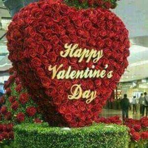 Meet your Posher, Steve