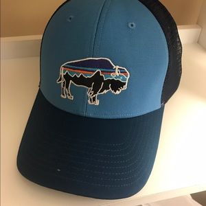 Bison Patagonia hat
