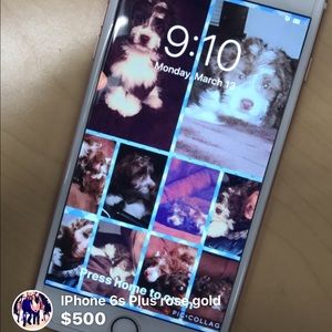 iPhone 6s Plus