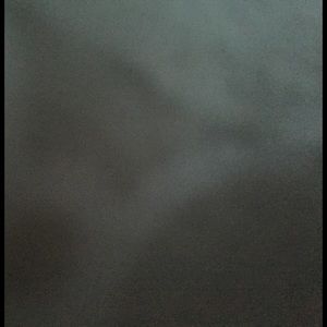 Meet your Posher, Shawn