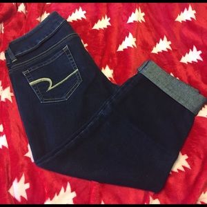 AEO Artist Crop size 10