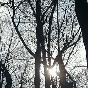 Meet your Posher, Lili