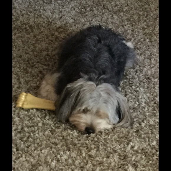 Meet your Posher, Christy - Picture 3 of 4