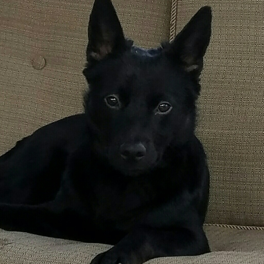 Meet your Posher, Kathy