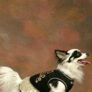 Meet your Posher, Joann