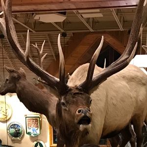 Meet your Posher, Alexes