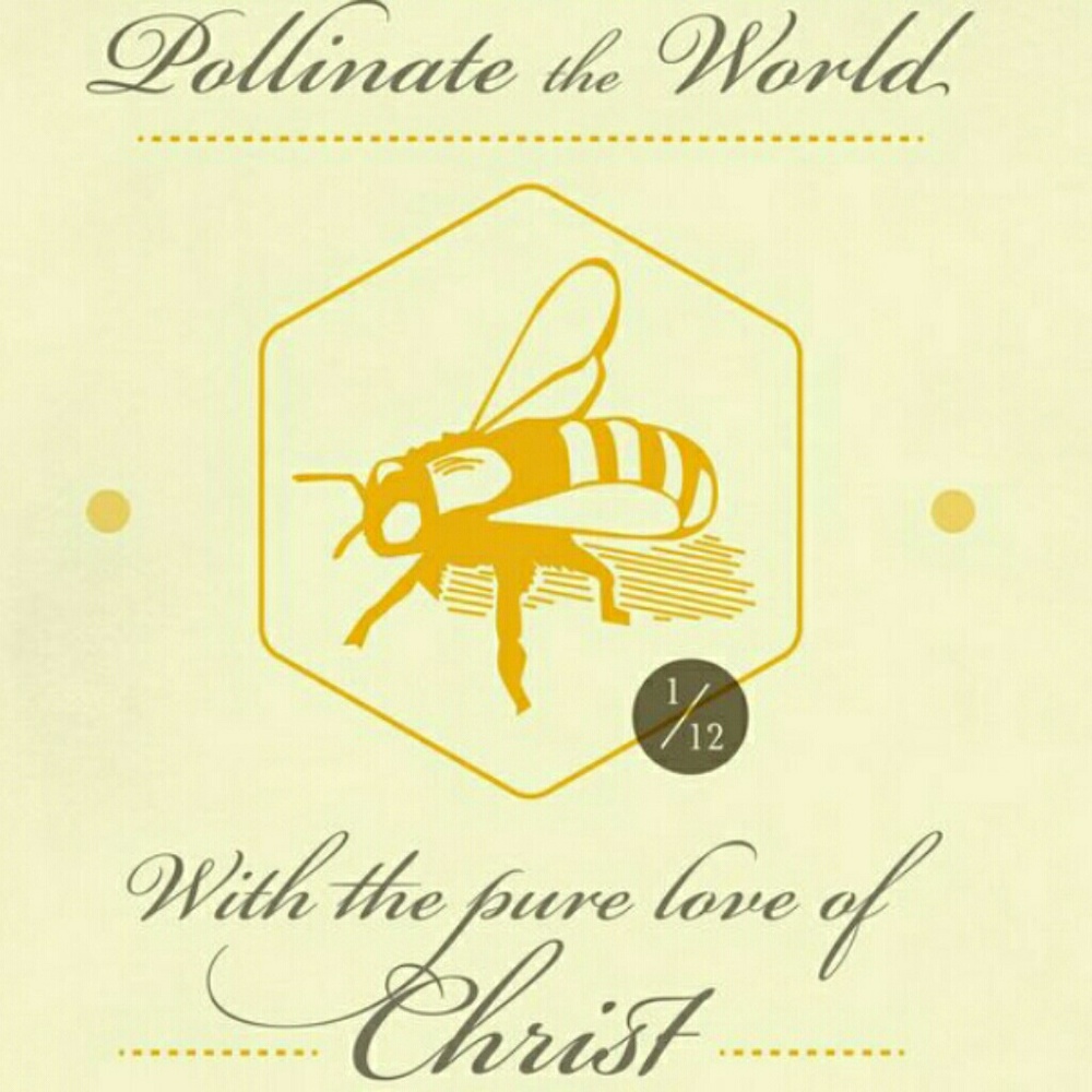 Meet your Posher, Sylvia