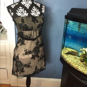 Charlotte Russe Dress