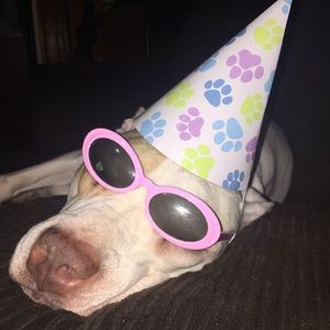 Meet your Posher, Cynthia