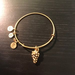Alex & Ani grapes charm