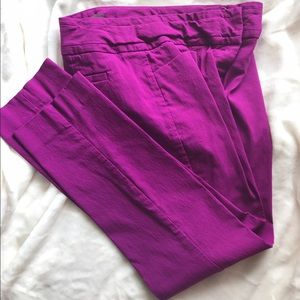 🎉The Limited🎉 exact stretch capris