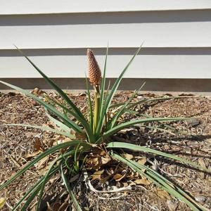 Meet your Posher, Marilyn