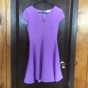 Purple V-neck Skater Dress