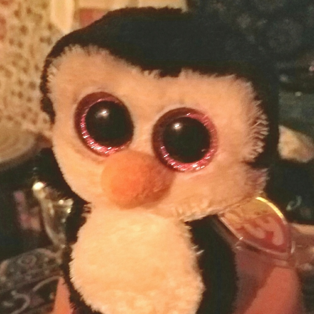 Meet your Posher, Patty