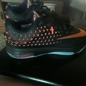 kd 7 rose