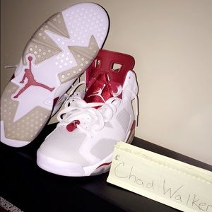 Air Jordan Retro 6 Alternate 91